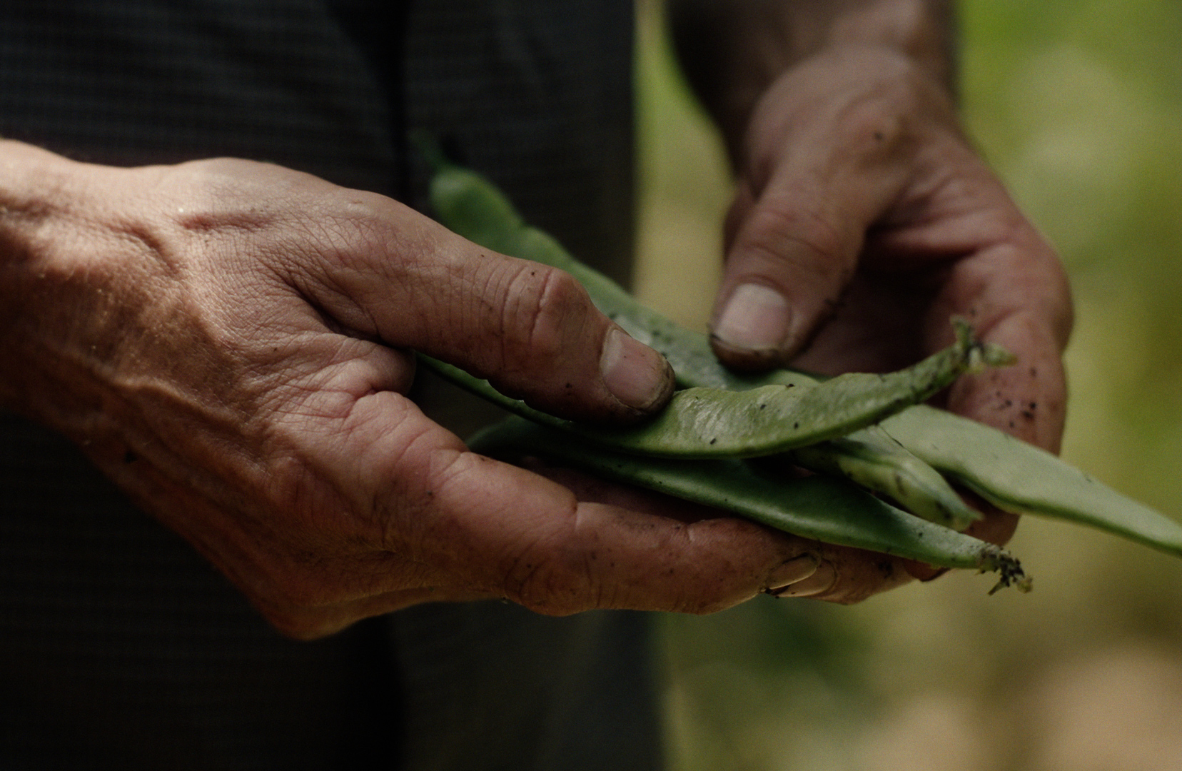 Primera projecció del documental ‘Yachay. Terra’